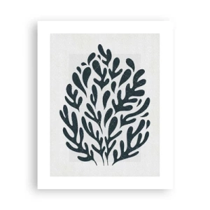 Affiche - Poster - Formes de la nature - 40x50 cm
