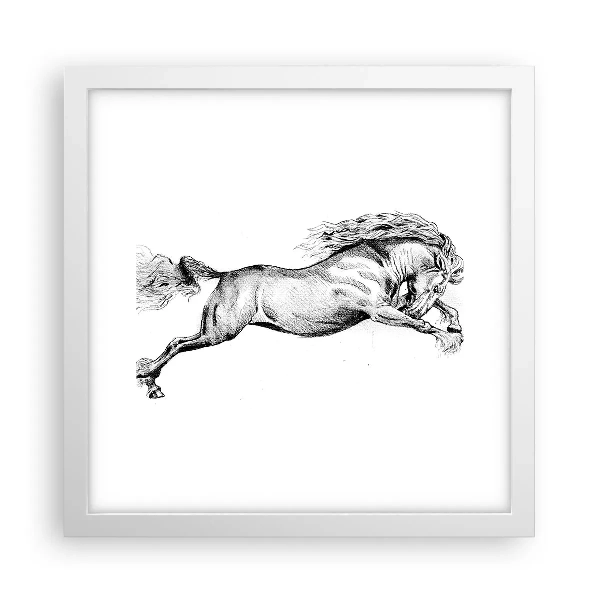 Affiche dans un cadre blanc - Poster - Immortalisé au galop - 30x30 cm