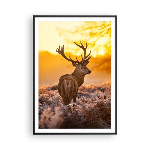 Affiche dans un cadre noir - Poster - Roi de la forêt automnal - 70x100 cm