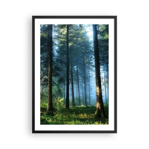 Affiche dans un cadre noir - Poster - Forêt de conifères sous le soleil du matin et un léger brouillard - 50x70cm - Rayonnant le matin - Décoration murale moderne pour le salon et la chambre ARTTOR