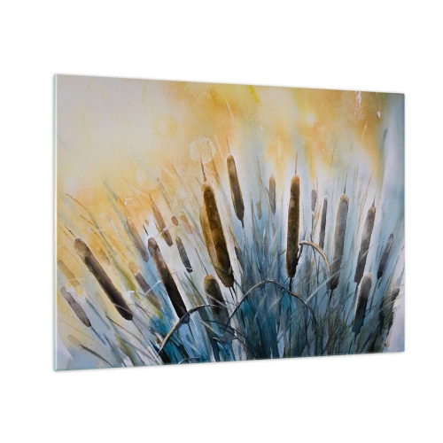 Impression sur verre - Image sur verre - Quenouilles peintes contre un ciel ensoleillé - 70x50cm - Fraicheur de l'eau, chaleur du soleil - Décoration murale moderne pour le salon et la chambre ARTTOR