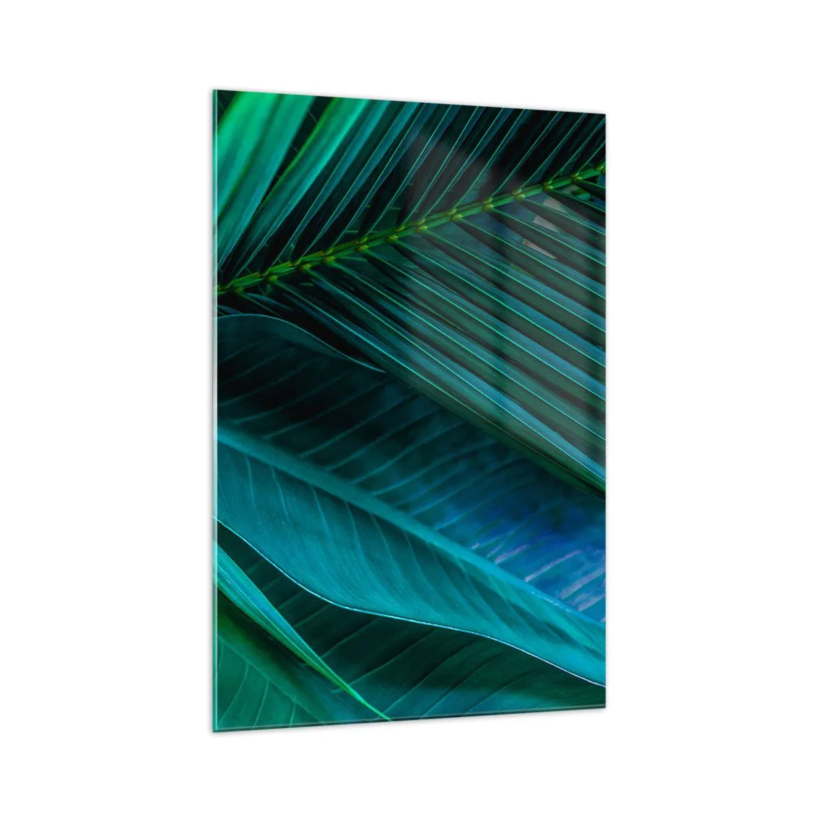 Impression sur verre - Image sur verre - Gros plan de feuilles vertes tropicales - 70x100cm - L'anatomie du vert - Décoration murale moderne pour le salon et la chambre ARTTOR