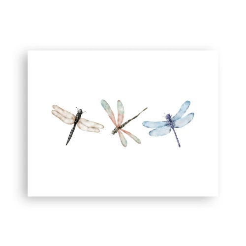Affiche - Poster - Libellules en apesanteur - 40x30 cm
