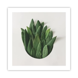 Affiche - Poster - Curiosité sans retenue - 50x50 cm