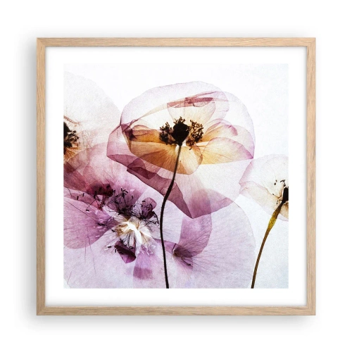 Affiche dans un chêne clair - Poster - Corps de fleurs transparente - 50x50 cm