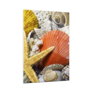 Impression sur verre - Image sur verre - Coquillages colorés et étoiles de mer dans une composition marine - 50x70cm - Trésors de l'océan - Décoration murale moderne pour le salon et la chambre ARTTOR