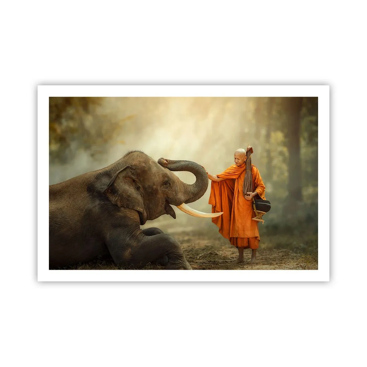 Affiche - Poster - Rencontre en voyageant - 91x61 cm