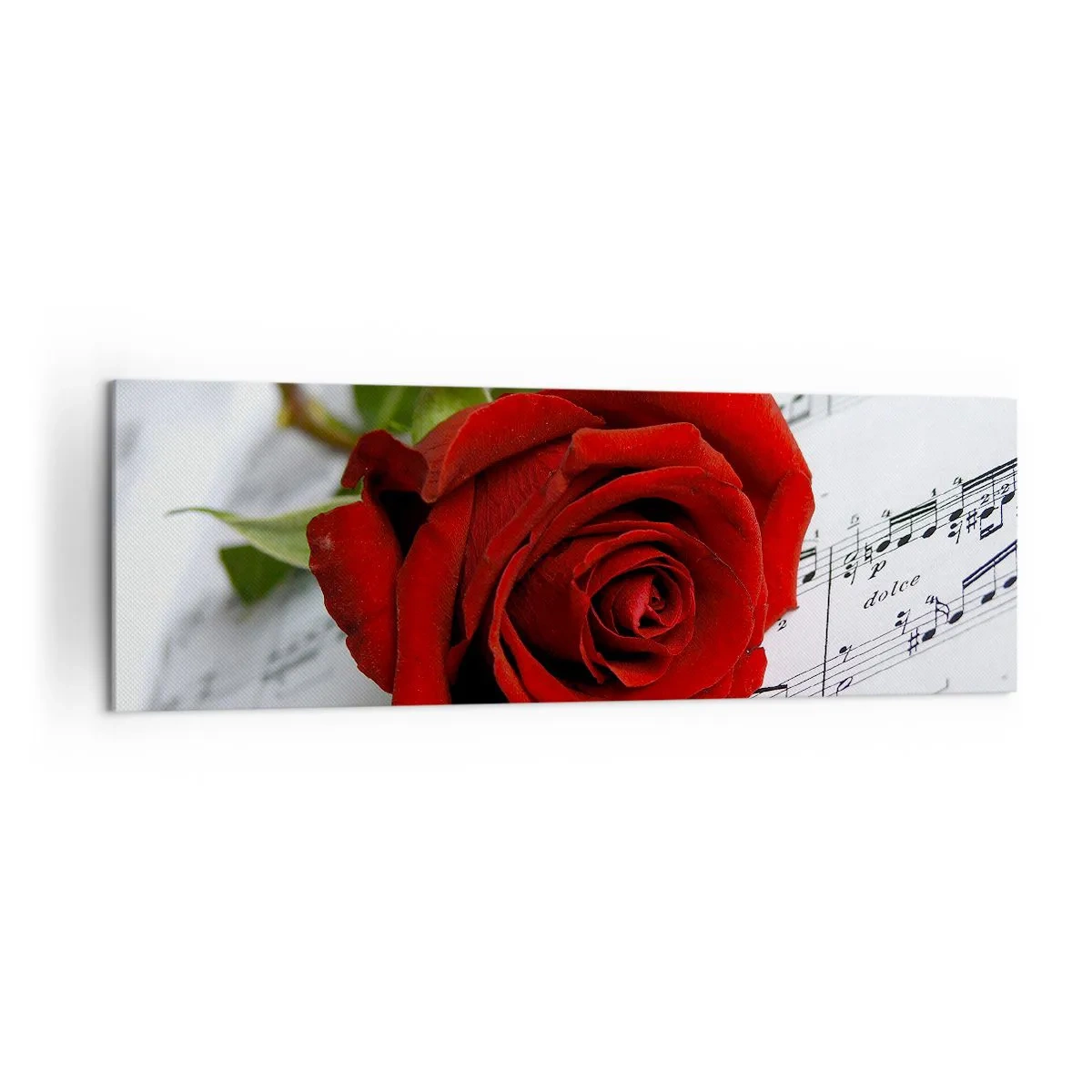 Impression sur toile - Image sur toile - Une rose rouge sur fond de notes de musique sur papier blanc. - 160x50cm - Musique des sentiments en écarlate - Décoration murale moderne pour le salon et la chambre ARTTOR