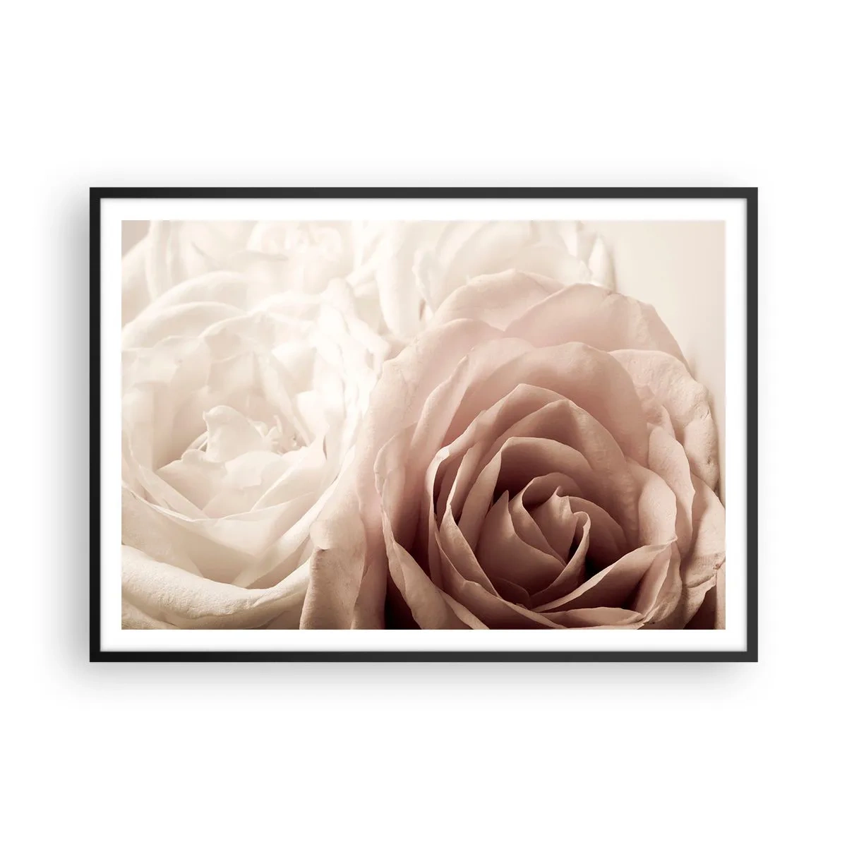 Affiche dans un cadre noir - Poster - Roses délicates dans des tons pastel de beige - 100x70cm - Au coeur d'ue la rose - Décoration murale moderne pour le salon et la chambre ARTTOR