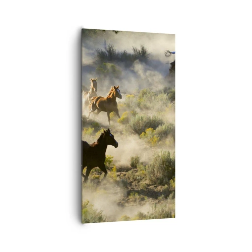 Impression sur toile - Image sur toile - Rivalité - liberté ou force masculine ? - 65x120 cm