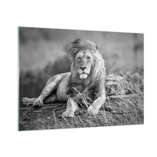 Impression sur verre - Image sur verre - Un lion reposant sur un rocher dans un paysage monochrome. - 100x70cm - Sieste royale - Décoration murale moderne pour le salon et la chambre ARTTOR
