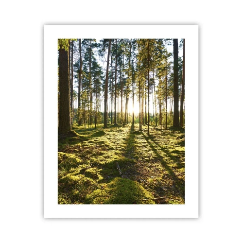 Affiche - Poster - … Derrière les sept forêts - 40x50 cm