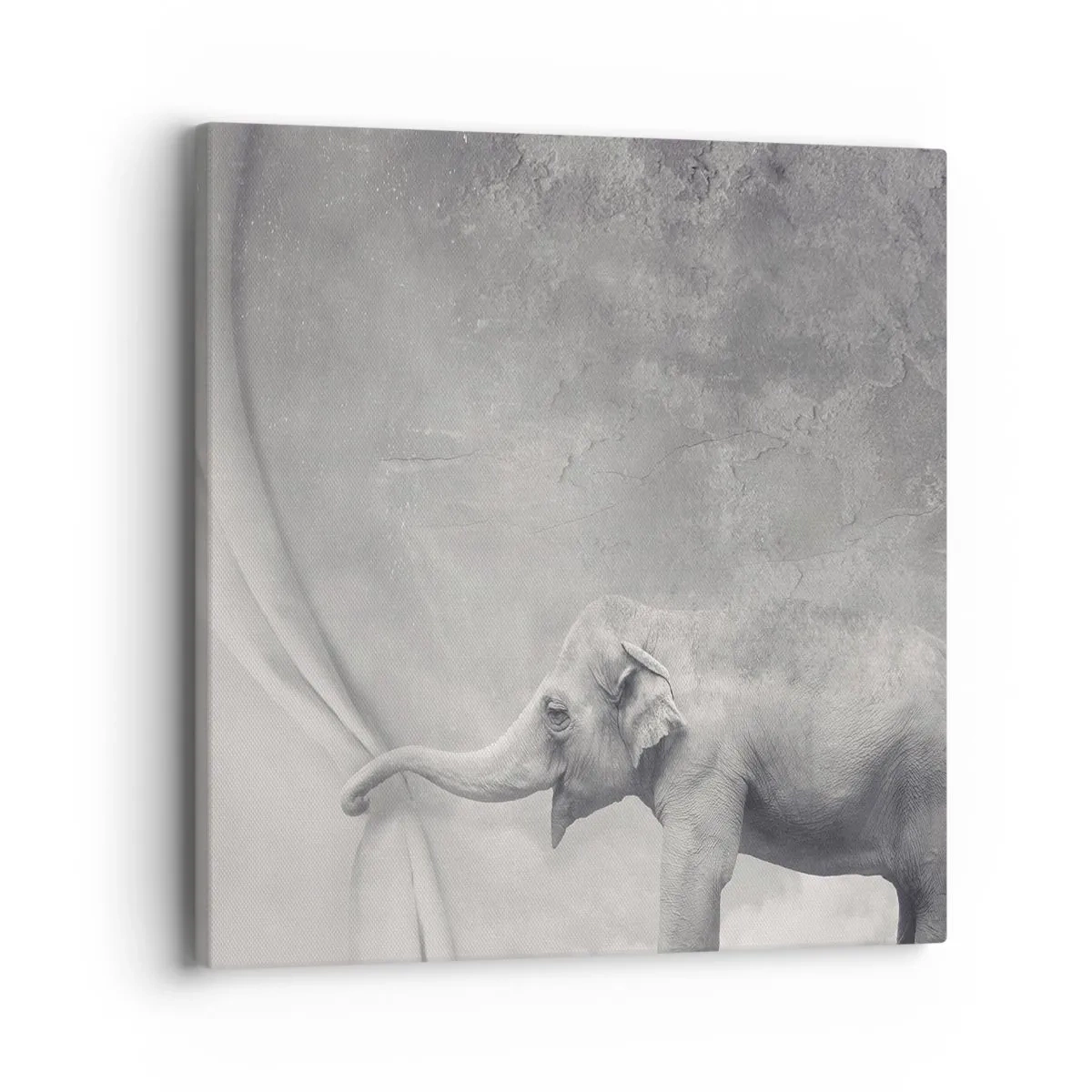 Impression sur toile - Image sur toile - Révéler le mystère - 40x40 cm