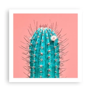 Affiche - Poster - Juste regarde - 60x60 cm