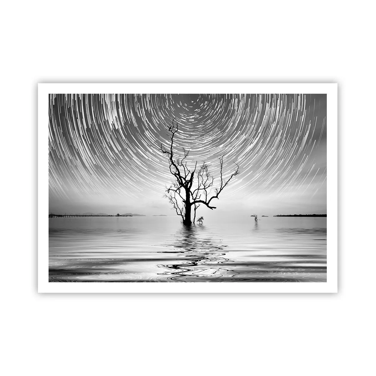 Affiche - Poster - Un arbre dans l'eau sous un ciel nocturne avec des étoiles en mouvement - 100x70cm - La symphonie de la nature - Décoration murale moderne pour le salon et la chambre ARTTOR