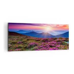 Impression sur toile - Image sur toile - Prairie de montagne avec des fleurs au coucher du soleil - 120x50cm - Les herbes sentaient les grappes fraîches de la récolte - Décoration murale moderne pour le salon et la chambre ARTTOR