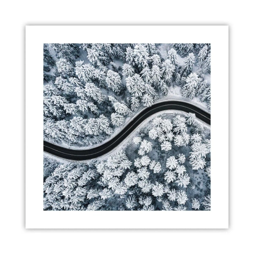 Affiche - Poster - À travers une forêt d'hiver - 40x40 cm