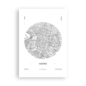 Affiche - Poster - Anatomie de Madrid - 70x100 cm