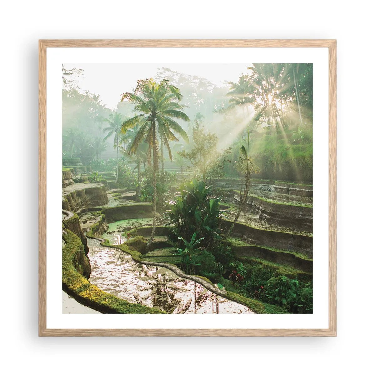 Affiche dans un chêne clair - Poster - Grandir au soleil - 60x60 cm