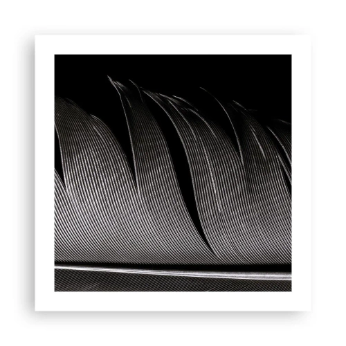 Affiche - Poster - La plume – un design magnifique - 50x50 cm