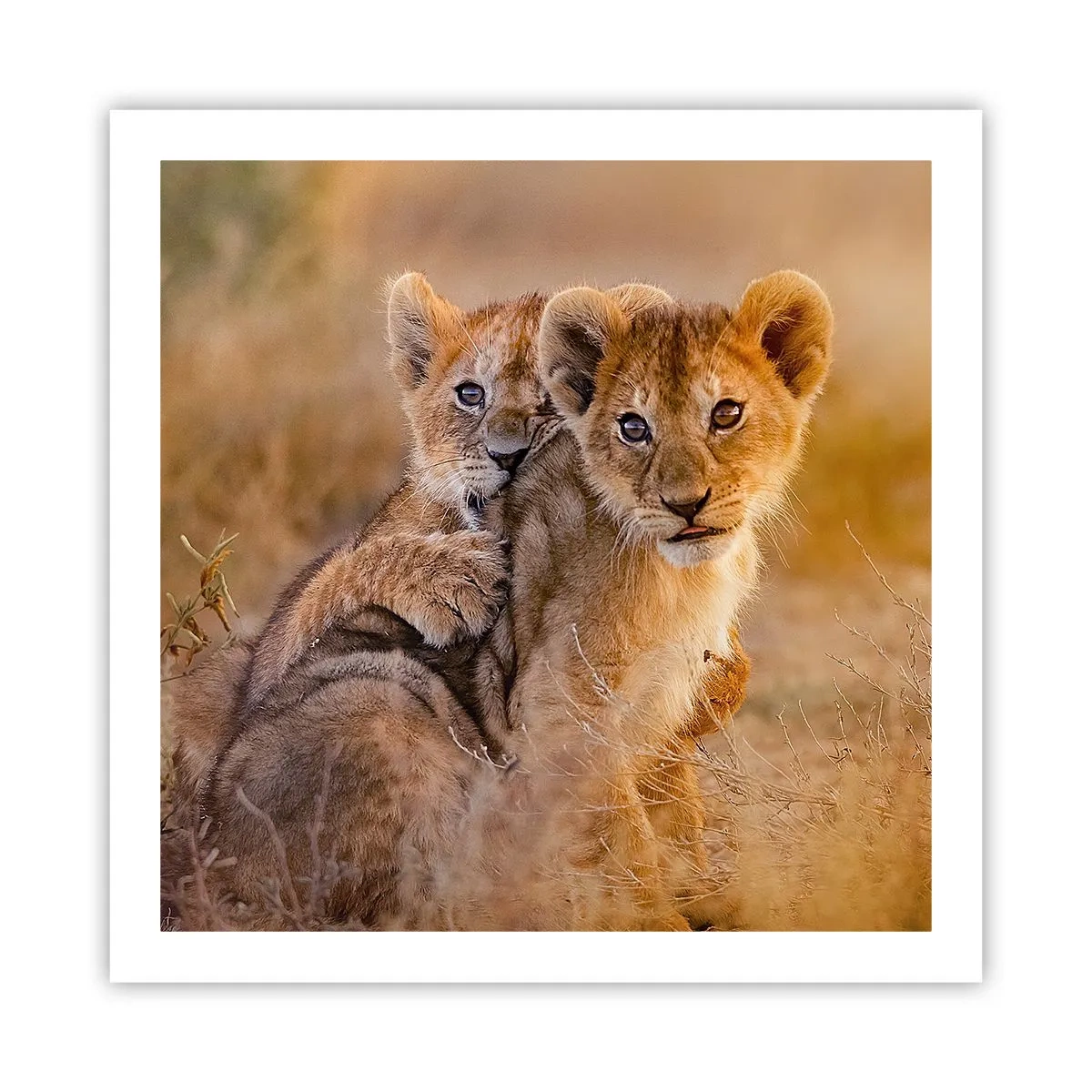 Affiche - Poster - Ne pas déranger! On s'amuse - 60x60 cm