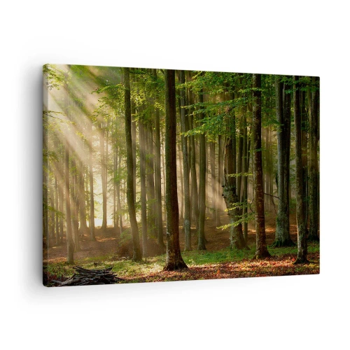 Impression sur toile - Image sur toile - Les rayons du soleil pénètrent à travers les arbres de la forêt - 70x50cm - Rayon d'un matin de printemps - Décoration murale moderne pour le salon et la chambre ARTTOR