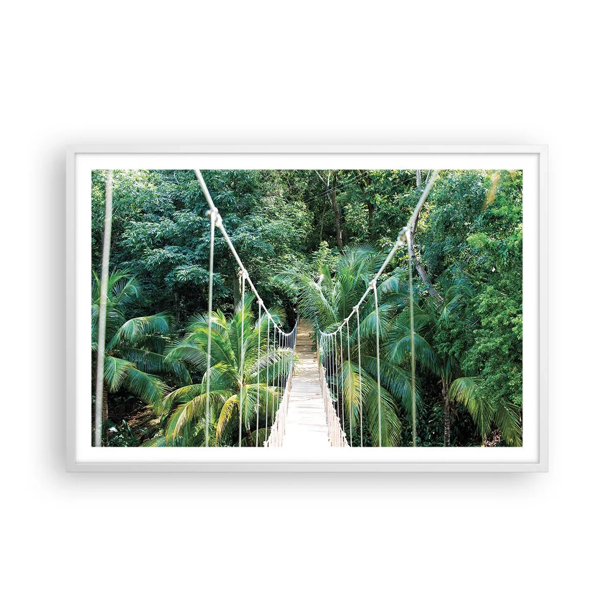 Affiche dans un cadre blanc - Poster - Welcome to the jungle! - 91x61 cm