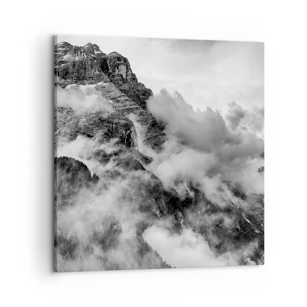 Impression sur toile - Image sur toile - Belle et cruelle - 50x50 cm