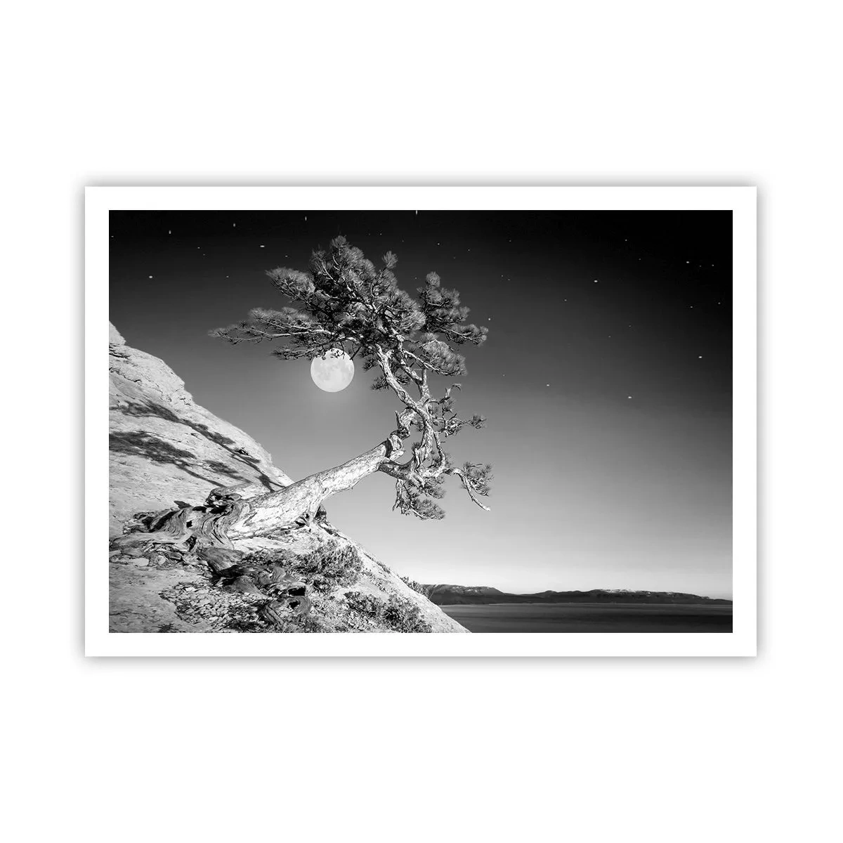 Affiche - Poster - Arbre noir et blanc sur une falaise avec la lune en arrière-plan - 100x70cm - Un combattant vainqueur - Décoration murale moderne pour le salon et la chambre ARTTOR