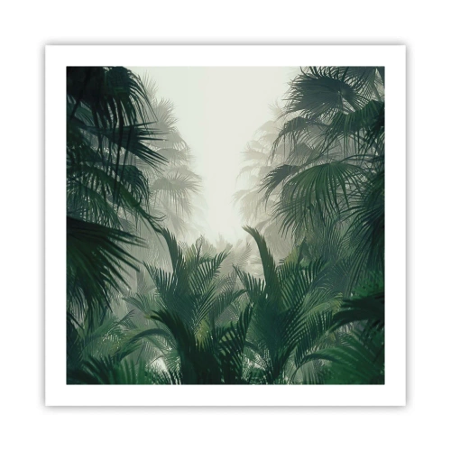 Affiche - Poster - Secret tropical - 60x60 cm