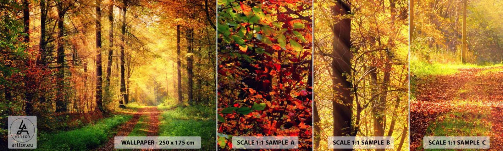 Échantillon de Papier Peint Autocollant Deluxe Sticker - Silence d'or en forêt - Paysage, Forêt, Route forestière - 100x30 cm