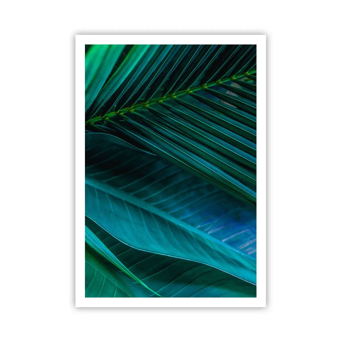 Affiche - Poster - L'anatomie du vert - 70x100 cm