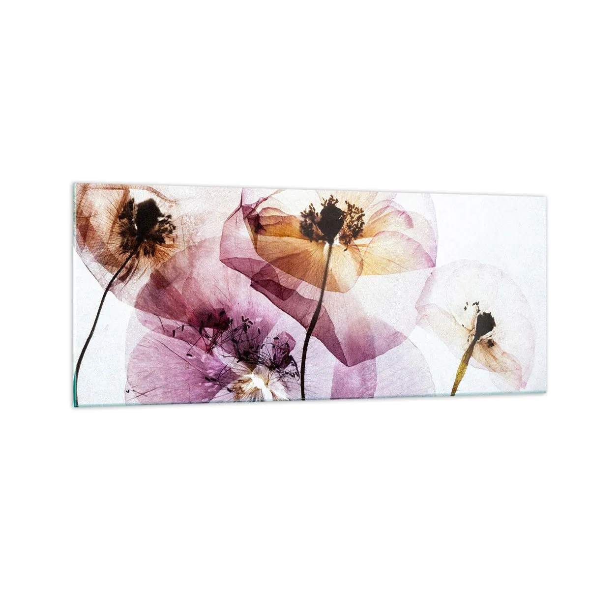 Impression sur verre - Image sur verre - Corps de fleurs transparente - 100x40 cm