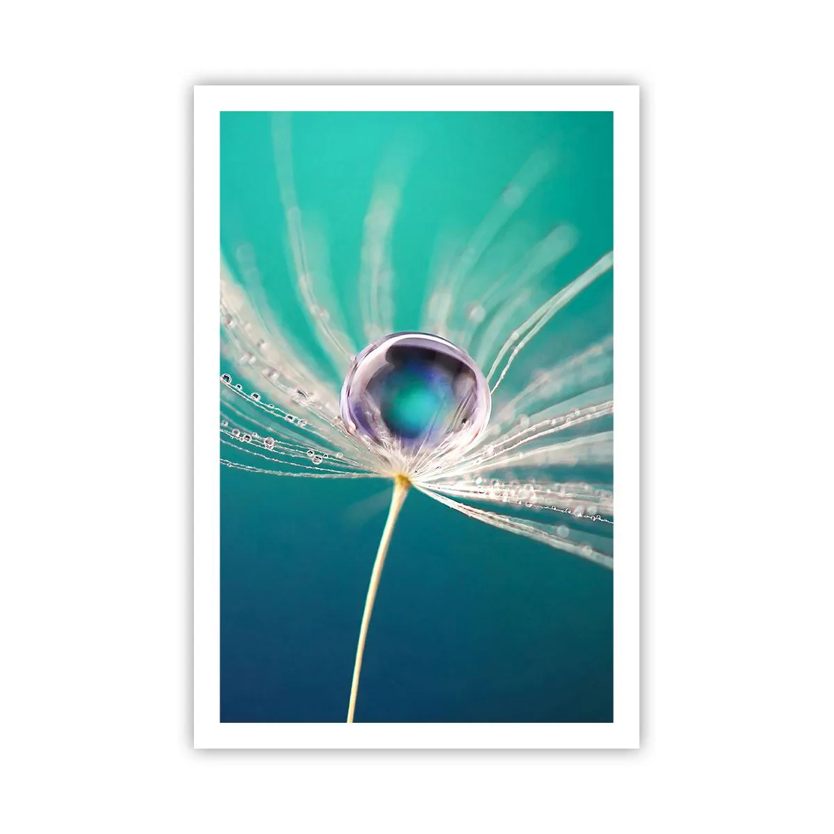 Affiche - Poster - Moment mystique - 61x91 cm