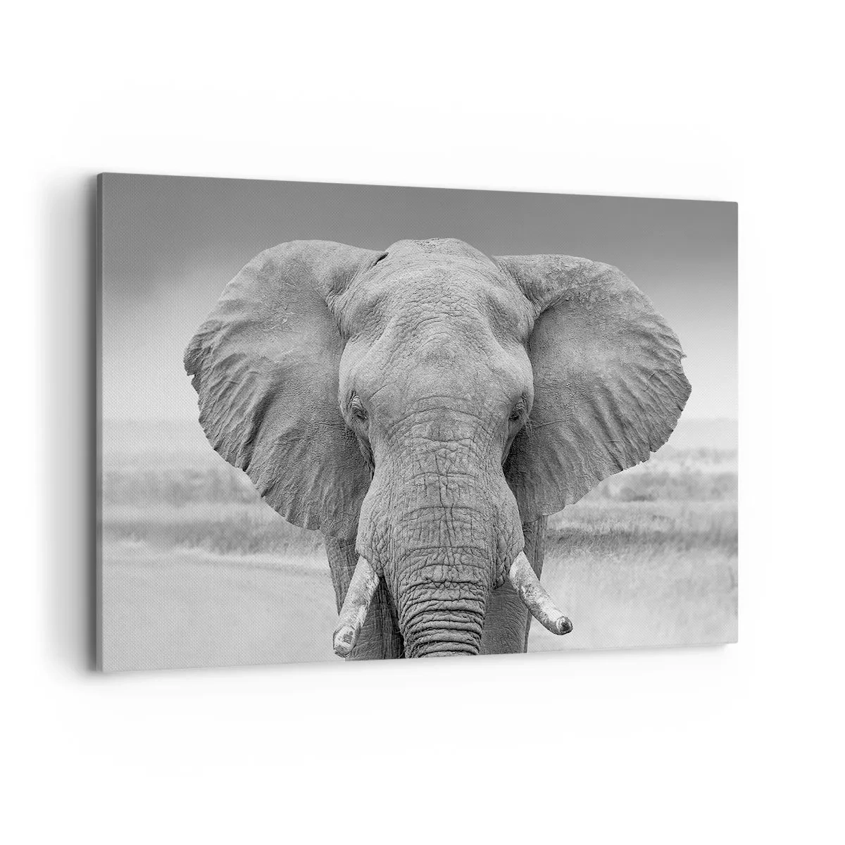 Impression sur toile - Image sur toile - Portrait d'un éléphant en noir et blanc - 120x80cm - Bienvenue dans mon monde - Décoration murale moderne pour le salon et la chambre ARTTOR