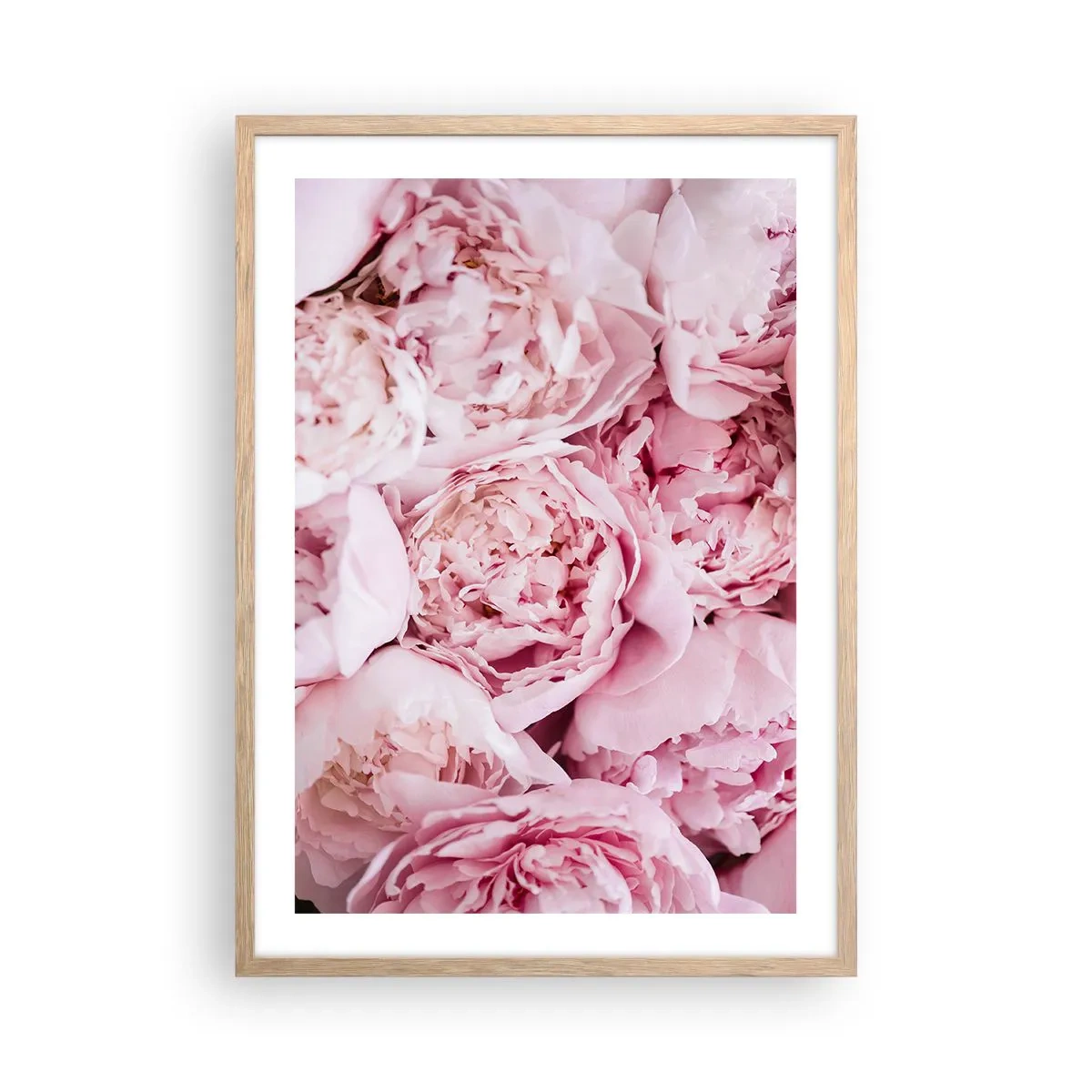 Affiche dans un chêne clair - Poster - Caliné et parfumé - 50x70 cm