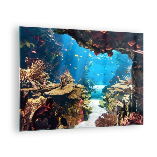 Impression sur verre - Image sur verre - Monde sous-marin avec récif corallien et poissons - 70x50cm - Tu ne l'as même pas rêvé - Décoration murale moderne pour le salon et la chambre ARTTOR