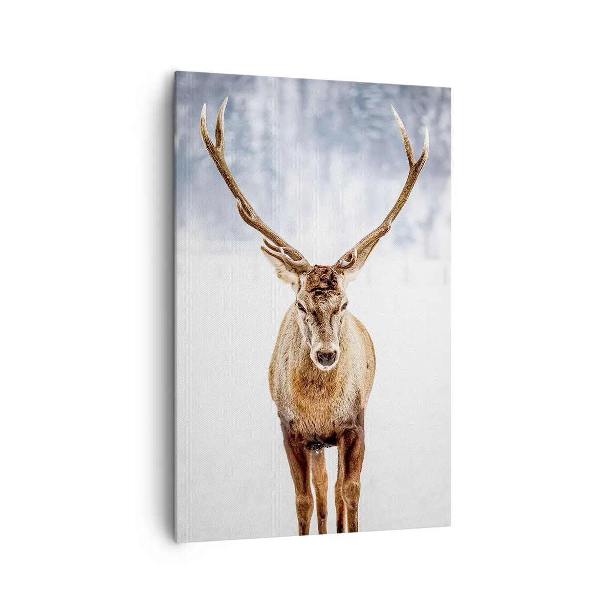 Impression sur toile - Image sur toile - Directement du brouillard enneigé - 80x120 cm