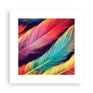 Affiche - Poster - Arc-en-ciel de plumes - 30x30 cm