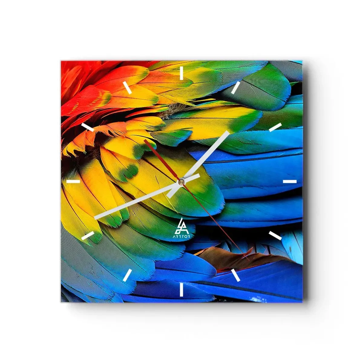 Horloge murale - Pendule murale - Oiseau de paradis - 40x40 cm