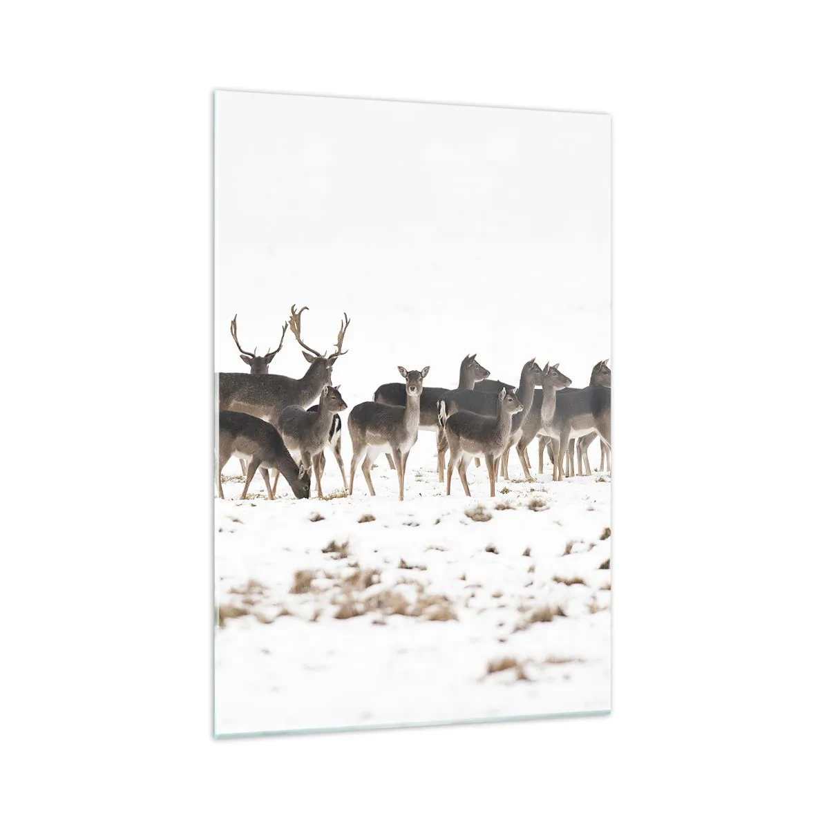 Impression sur verre - Image sur verre - Un troupeau de cerfs sur fond de neige - 70x100cm - Les fêtes approchent ? - Décoration murale moderne pour le salon et la chambre ARTTOR
