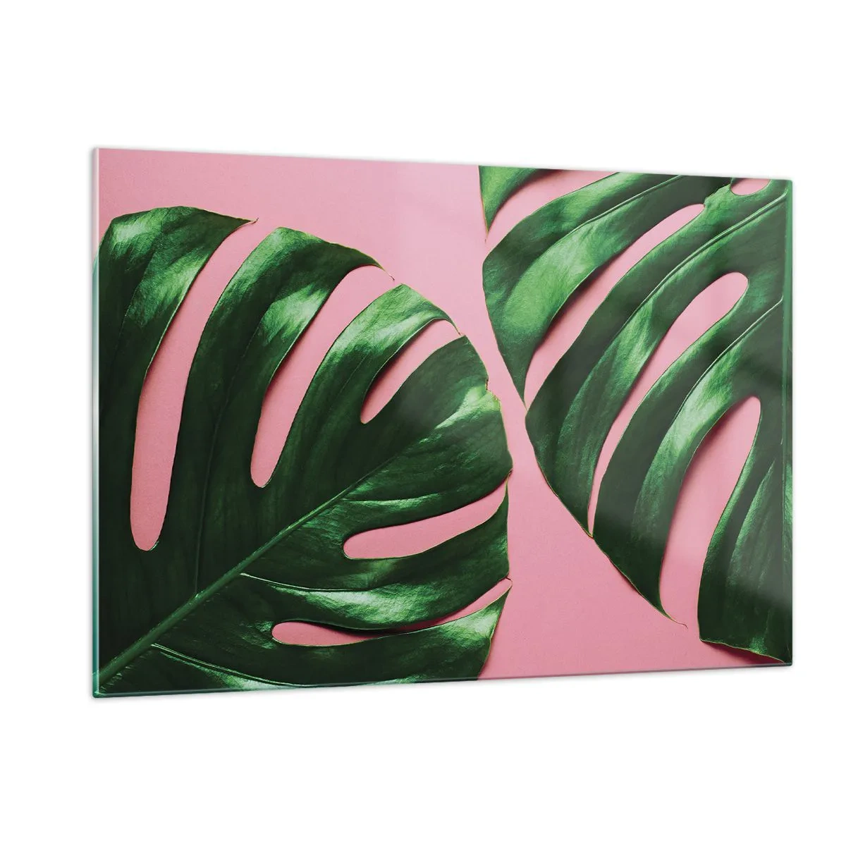 Impression sur verre - Image sur verre - Feuilles de monstera vertes sur fond rose - 120x80cm - Rendez-vous vert - Décoration murale moderne pour le salon et la chambre ARTTOR