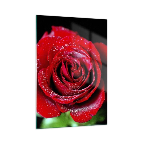 Impression sur verre - Image sur verre - Une rose rouge couverte de gouttes de rosée sur un fond sombre - 50x70cm - C'est ça l'amour - Décoration murale moderne pour le salon et la chambre ARTTOR