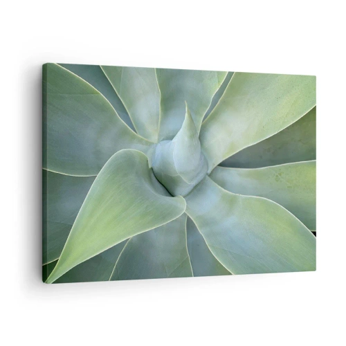 Impression sur toile - Image sur toile - Feuilles d'agave subtiles dans des tons verts - 70x50cm - La naissance de la verdure - Décoration murale moderne pour le salon et la chambre ARTTOR