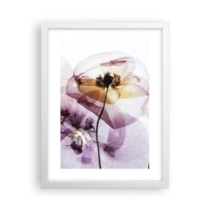 Affiche dans un cadre blanc - Poster - Corps de fleurs transparente - 30x40 cm