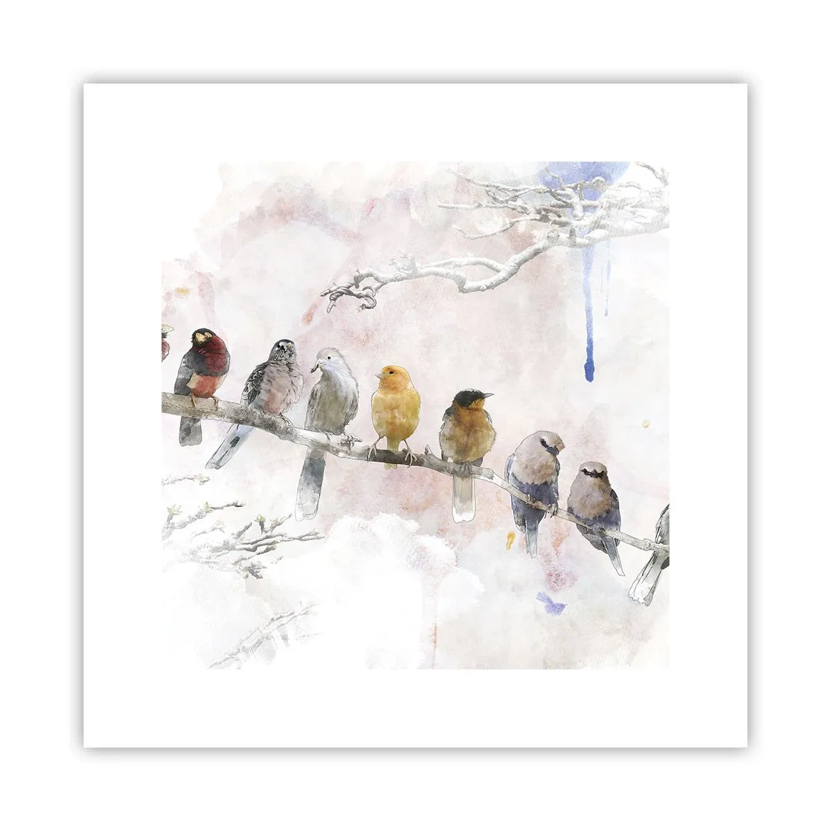 Affiche - Poster - Rencontre ailée - 30x30 cm