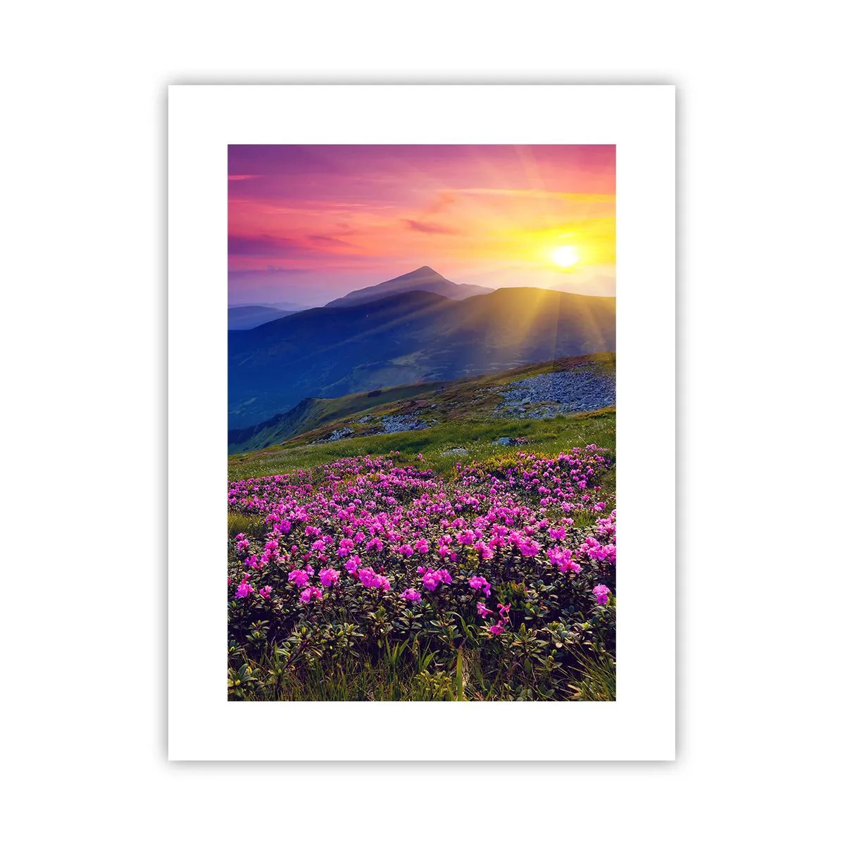 Affiche - Poster - … Et autour, ça sent le pin des montagnes et l'odeur de la prairie - 30x40 cm