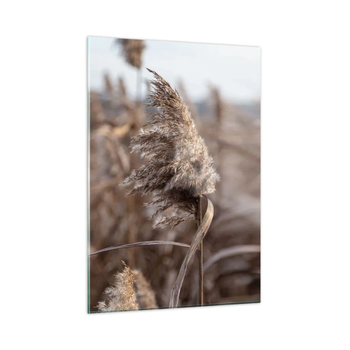 Impression sur verre - Image sur verre - Gros plan sur l'herbe sèche se balançant dans le vent - 50x70cm - Il est temps de s'envoler avec le vent - Décoration murale moderne pour le salon et la chambre ARTTOR