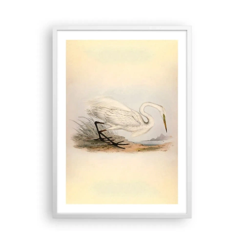 Affiche dans un cadre blanc - Poster - Dame sur les joncs - 50x70 cm