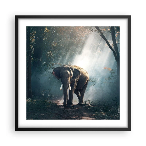 Affiche dans un cadre noir - Poster - Une balade tranquille - 50x50 cm